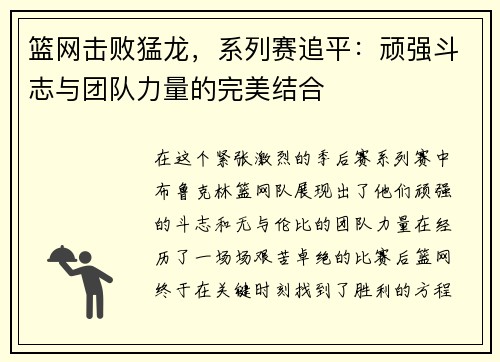 篮网击败猛龙，系列赛追平：顽强斗志与团队力量的完美结合